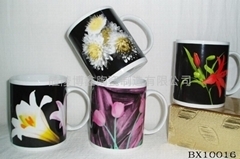 BOXIN CERAMIC MANUFACTURING CO.LTD.: 卓越品質(zhì)，傳承陶瓷藝術(shù)